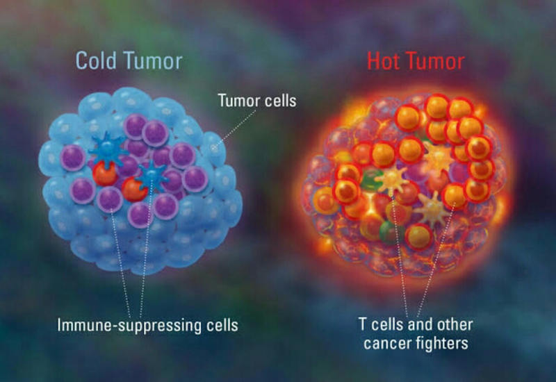 Illustration for article titled Obat Tumor Ganas Yang Sembuhkan Dengan Cepat